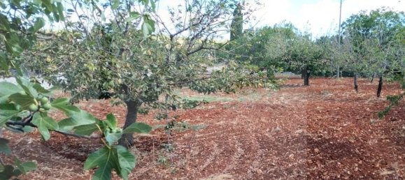 2 rooms House in Putignano, Italy No. 23497 10