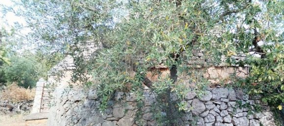 2 rooms House in Putignano, Italy No. 23497 3