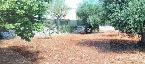 2 rooms House in Putignano, Italy No. 23497 9