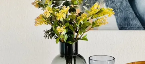 2 rooms Apartment in Monchengladbach, Germany No. 67252 6