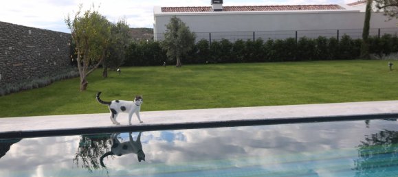 Apartment 3+1 in Cesme, Turkey No. 13684 4