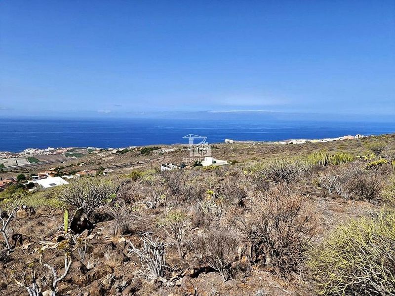  قطعة أرض في Adeje, Spain 4503متر مربع رقم 244078