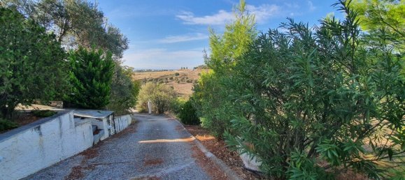 5 غرف نوم فيلا في Chalkidiki, Greece رقم 2774 20