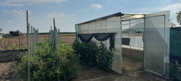 5 bedrooms Villa in Alessandria, Italy No. 353716 21