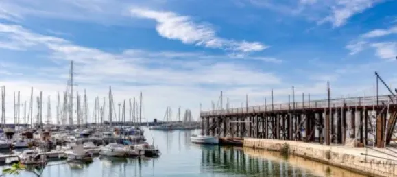 3 bedrooms Apartment in Torrevieja, Spain No. 100657 43