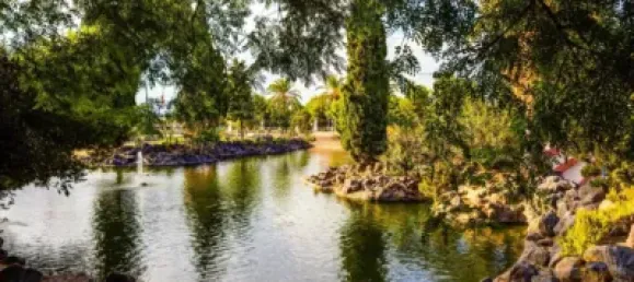 3 bedrooms Apartment in Torrevieja, Spain No. 100657 31