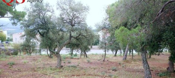 1098m² Land in Barcelona, Spain No. 113361 8