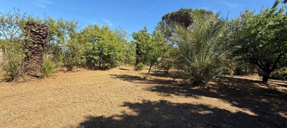 2 bedrooms House in Nettuno, Italy No. 377727 6