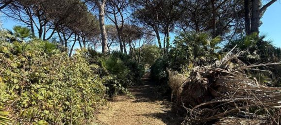 2 bedrooms House in Nettuno, Italy No. 377727 2