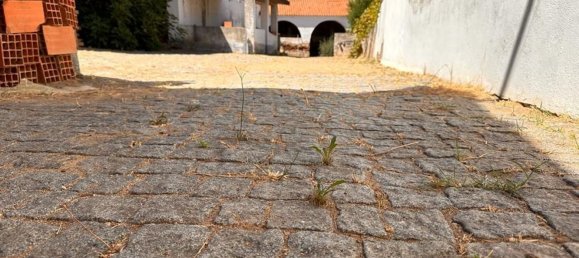 Casa de 4 dormitorios en Reguengos de Monsaraz, Portugal No. 180390 10