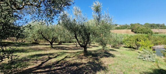 12 rooms House in Manciano, Italy No. 117439 23