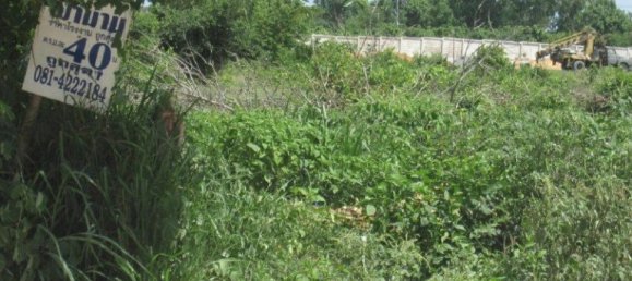 Gewerbliche Immobilie in Pattaya, Thailand, Nr. 19772 2