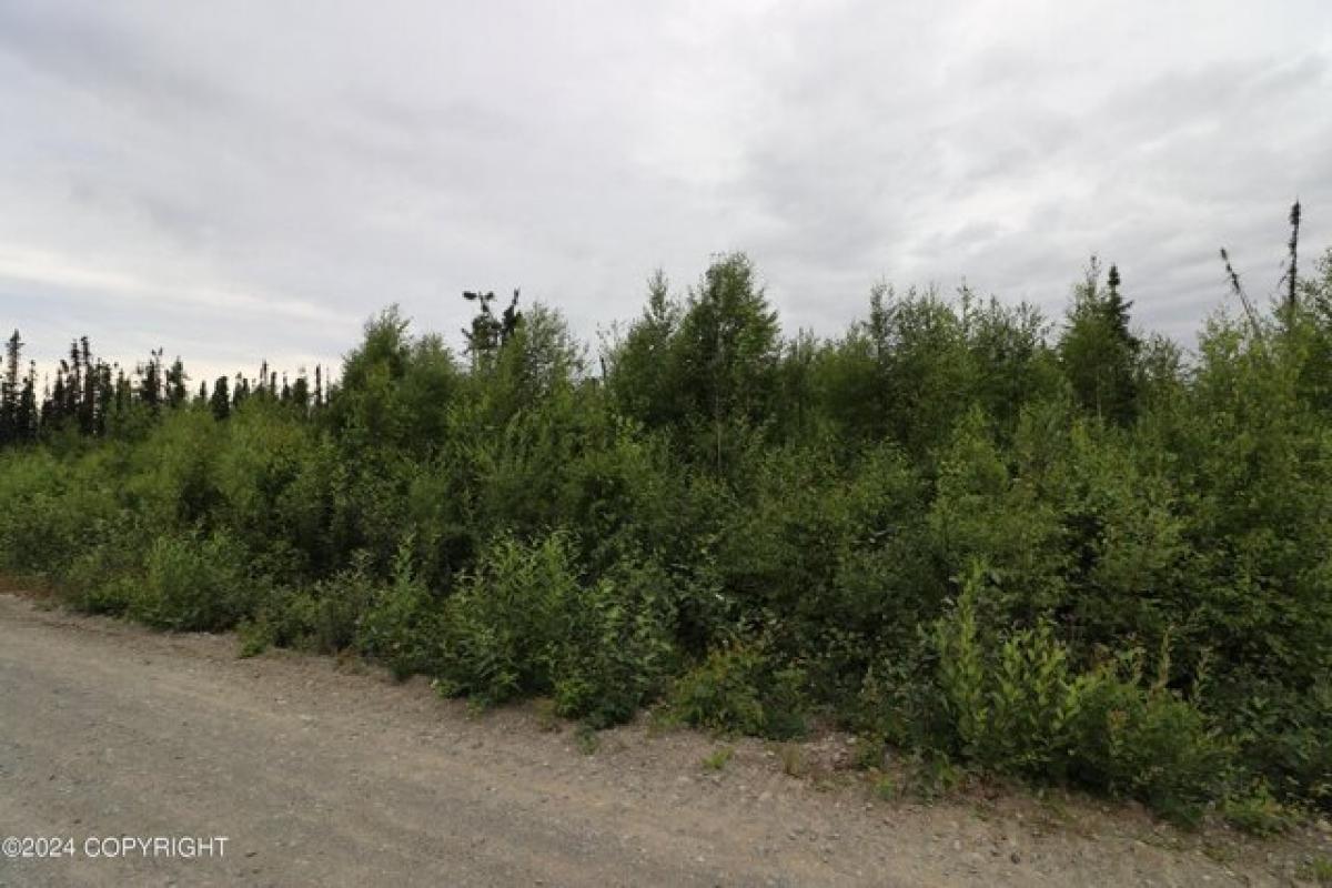  Land in Wasilla, USA No. 540044