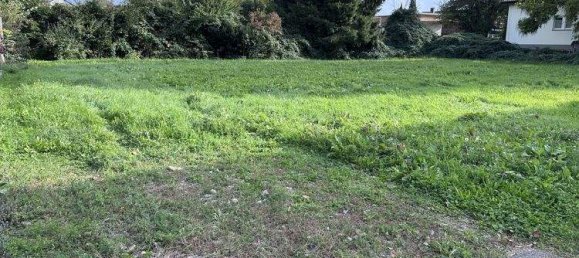 Grundstück in Hard, Austria, Nr. 59618 3