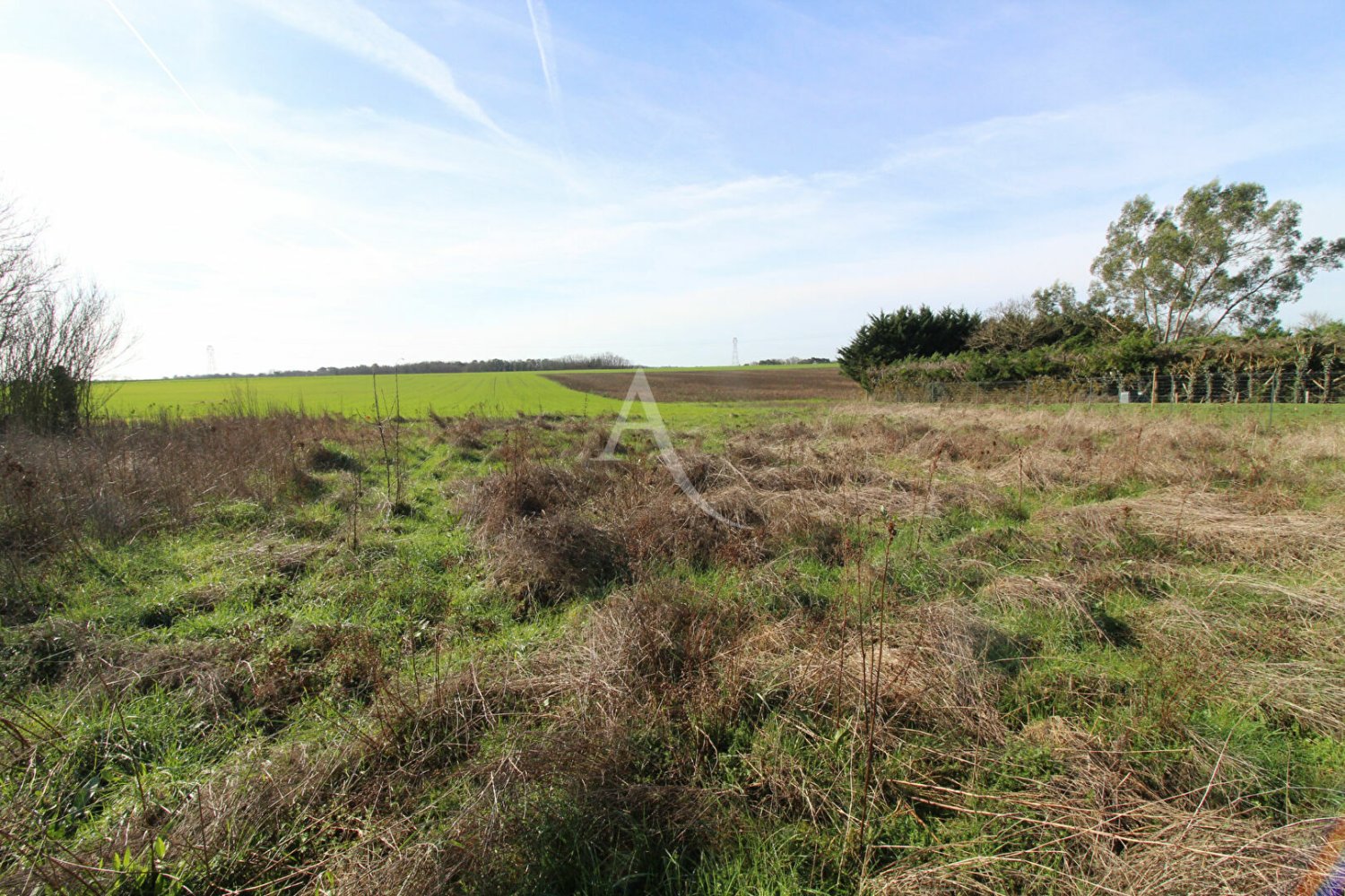  Land in Blere, France No. 85155