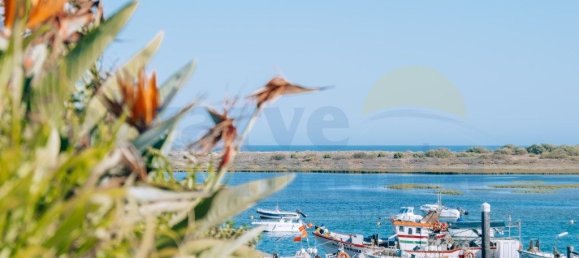 142m² Commercial property in Tavira, Portugal No. 206104 27