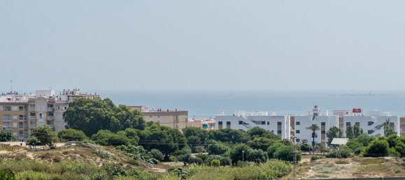 3 bedrooms Townhouse in Guardamar del Segura, Spain No. 2424 29