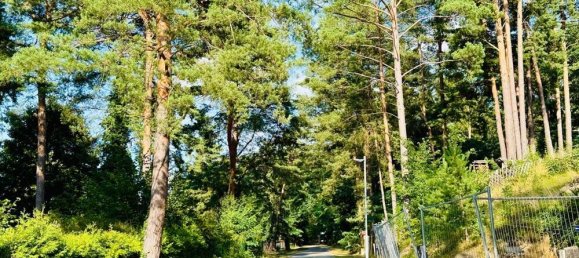 Земельный участок в Даме-Шпревальд, Германия № 239957 13