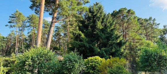 Земельный участок в Даме-Шпревальд, Германия № 239957 8