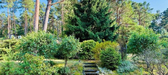 Земельный участок в Даме-Шпревальд, Германия № 239957 6