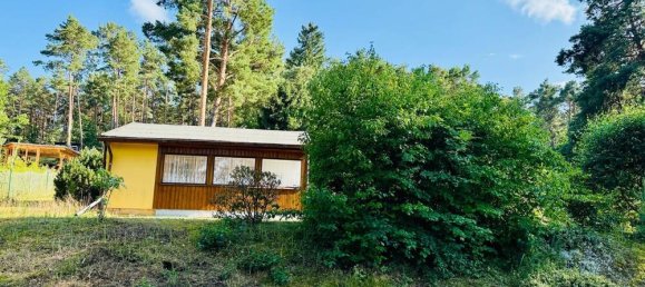 Земельный участок в Даме-Шпревальд, Германия № 239957 4