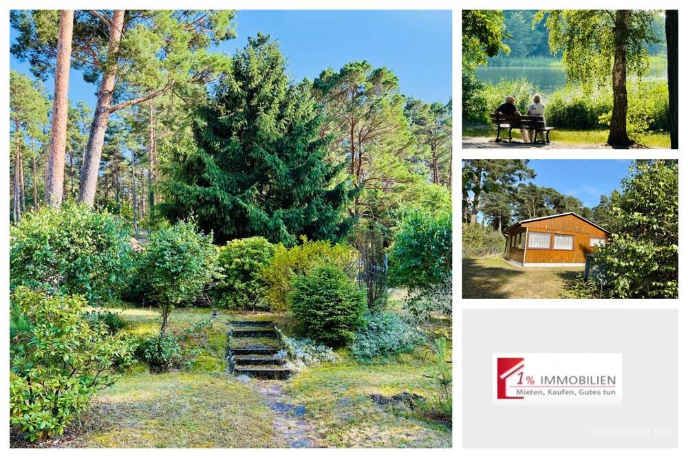 Земельный участок в Даме-Шпревальд, Германия № 239957