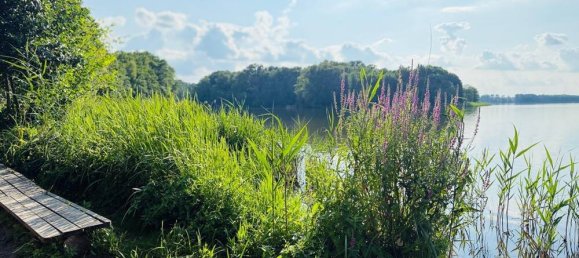 Земельный участок в Даме-Шпревальд, Германия № 239957 16