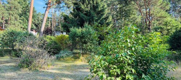 Земельный участок в Даме-Шпревальд, Германия № 239957 9