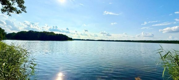 Земельный участок в Даме-Шпревальд, Германия № 239957 15