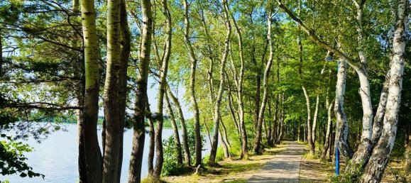 Земельный участок в Даме-Шпревальд, Германия № 239957 14