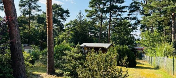 Земельный участок в Даме-Шпревальд, Германия № 239957 2