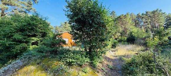 Земельный участок в Даме-Шпревальд, Германия № 239957 11