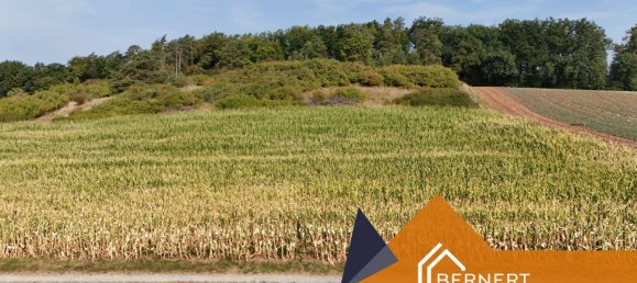 Terrain à Lichtenfels, Germany No. 366987 4