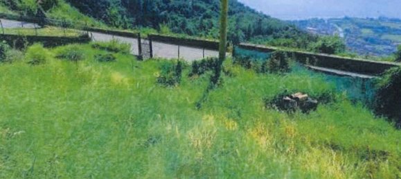 Дом с 5 комнатами в Пизонье, Италия № 4713 13