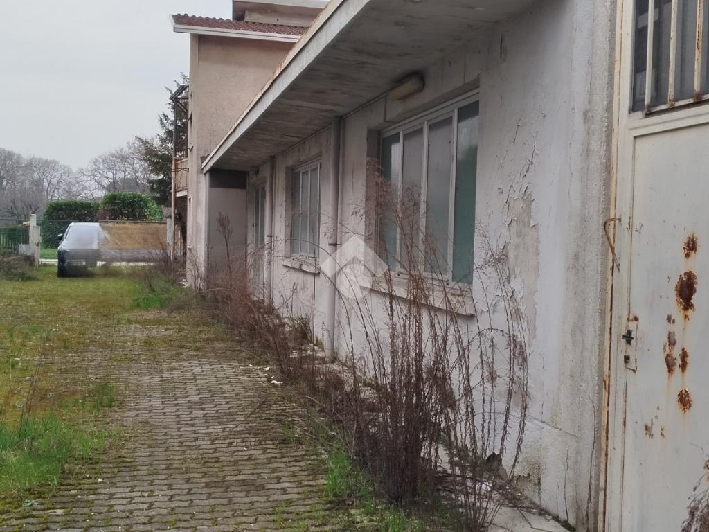 8-salle Entrepôt à Rovello Porro, Italy No. 226157