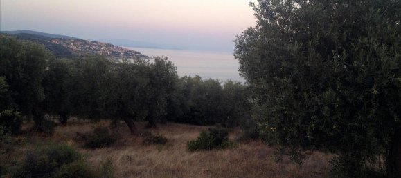 7070m² Hotel in Chalkidiki, Greece No. 7506 3