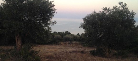 7070m² Hotel in Chalkidiki, Greece No. 7506 4