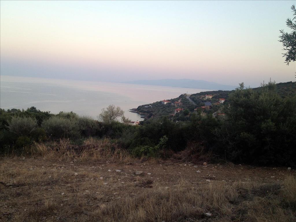 7070m² Hotel in Chalkidiki, Greece No. 7506