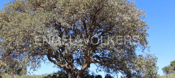 Grundstück in Cadiz, Spain, Nr. 18264 22