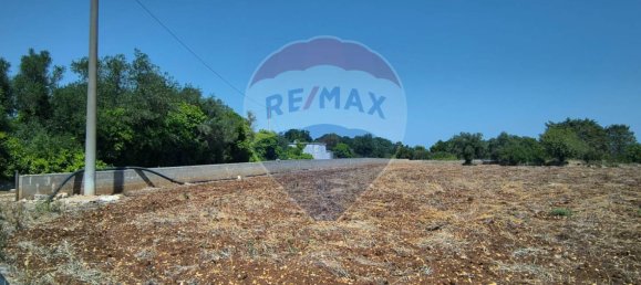 Дом с 3 комнатами в Полиньяно а Маре, Италия № 270528 8