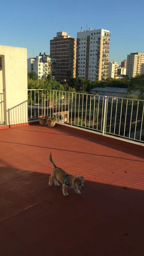 Studio in Buenos Aires, Argentina, Nr. 66998