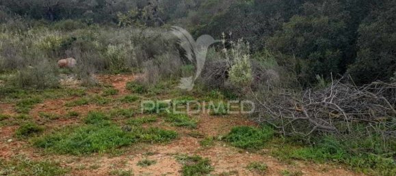 1960m² Land in Quelfes, Portugal No. 36012 9