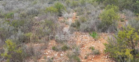 1960m² Land in Quelfes, Portugal No. 36012 8