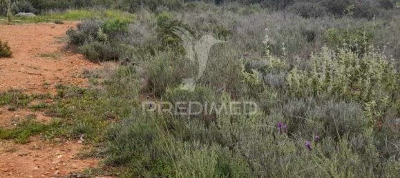 1960m² Land in Quelfes, Portugal No. 36012 2
