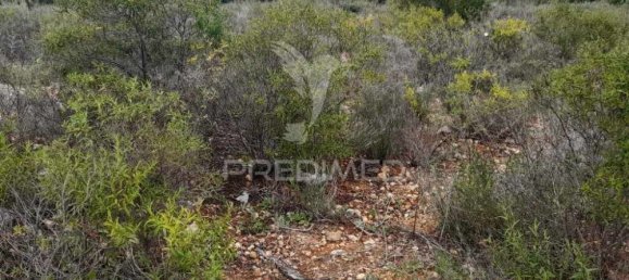 1960m² Land in Quelfes, Portugal No. 36012 3