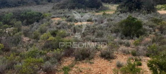 1960m² Land in Quelfes, Portugal No. 36012 11