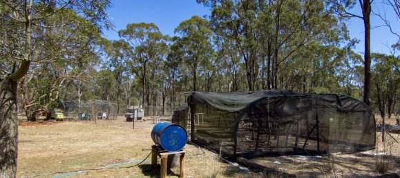 6 Schlafzimmer Haus in Ballogie, Australia, Nr. 251 23