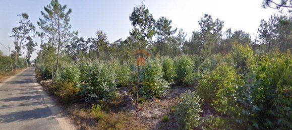 30000m² Land in Torres Vedras, Portugal No. 224255 3