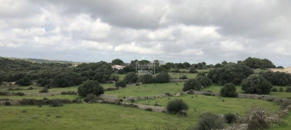351m² Land in Alaior, Spain No. 3762 6