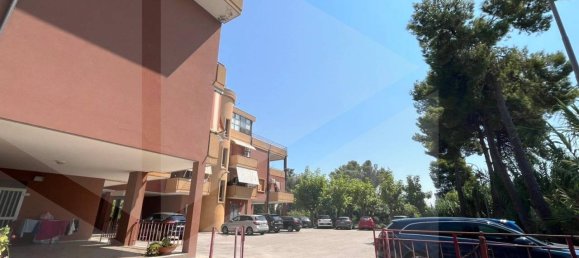 2 rooms Apartment in Campomarino, Italy No. 21672 16